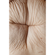 Image for article titled Stunning Photography Project Explores The Dark Side of Weight Loss (NSFW)